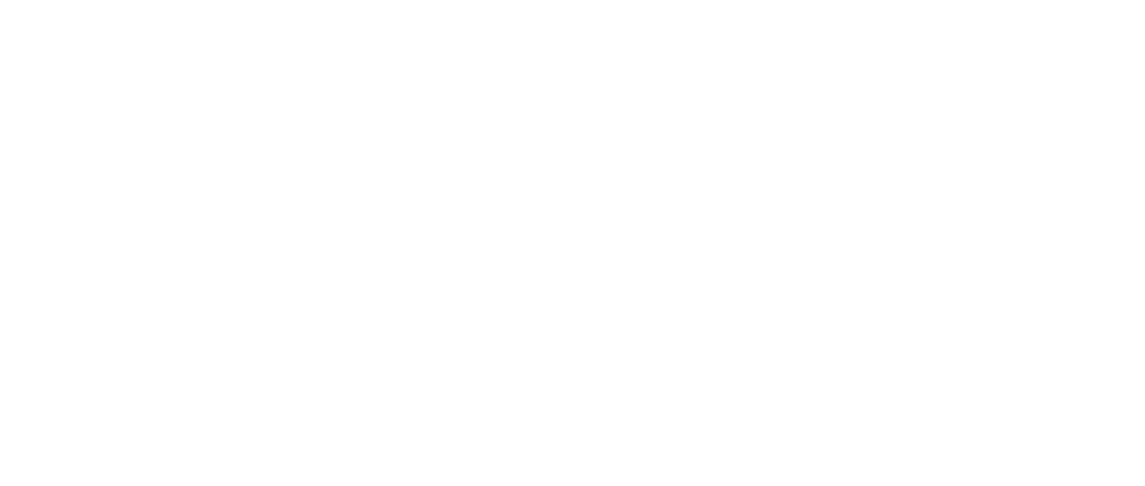 the blind side belonging